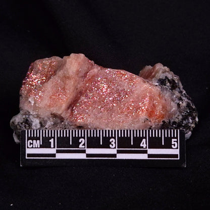 CONFETTI SUNSTONE, Australia XSU019