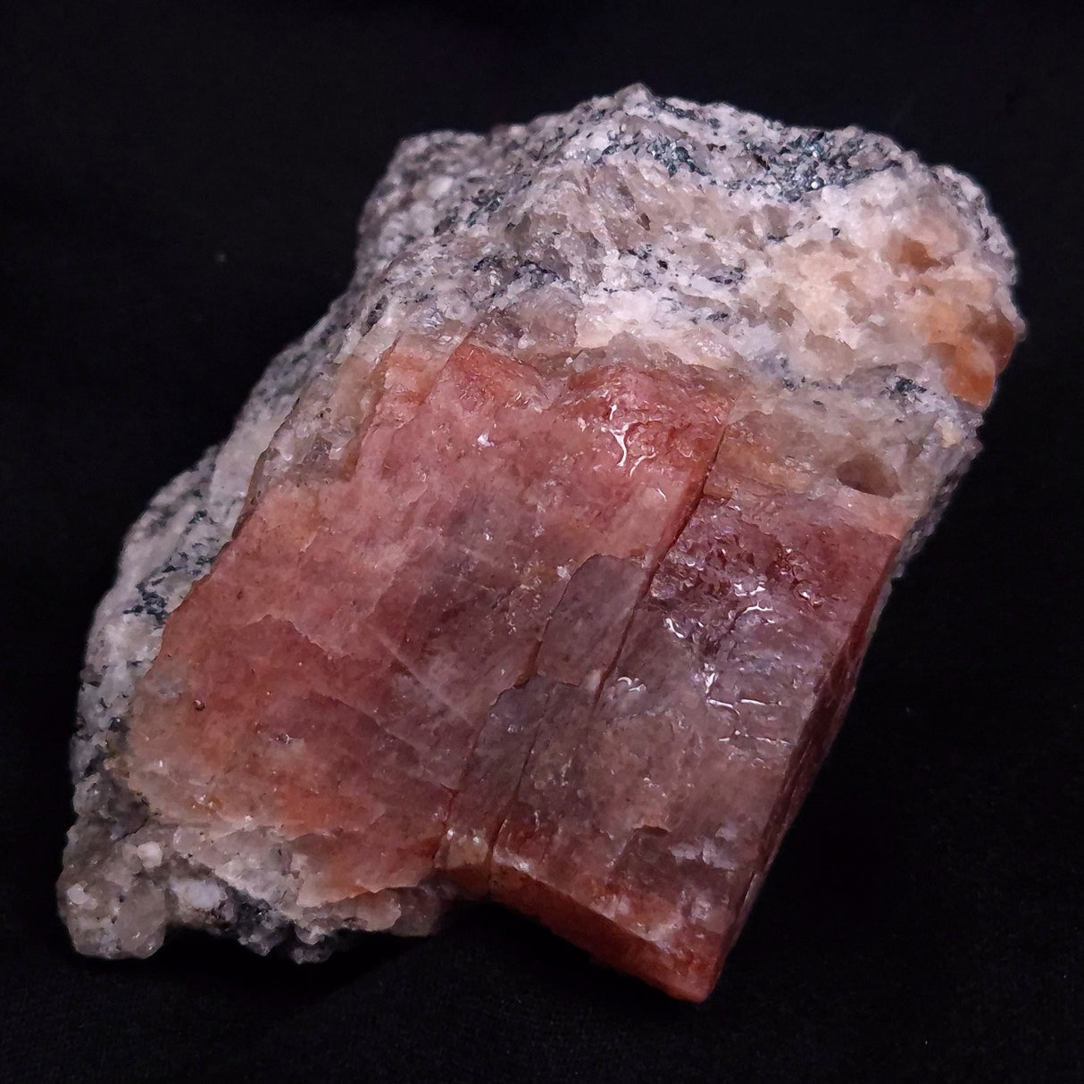 CONFETTI SUNSTONE, Australia XSU023