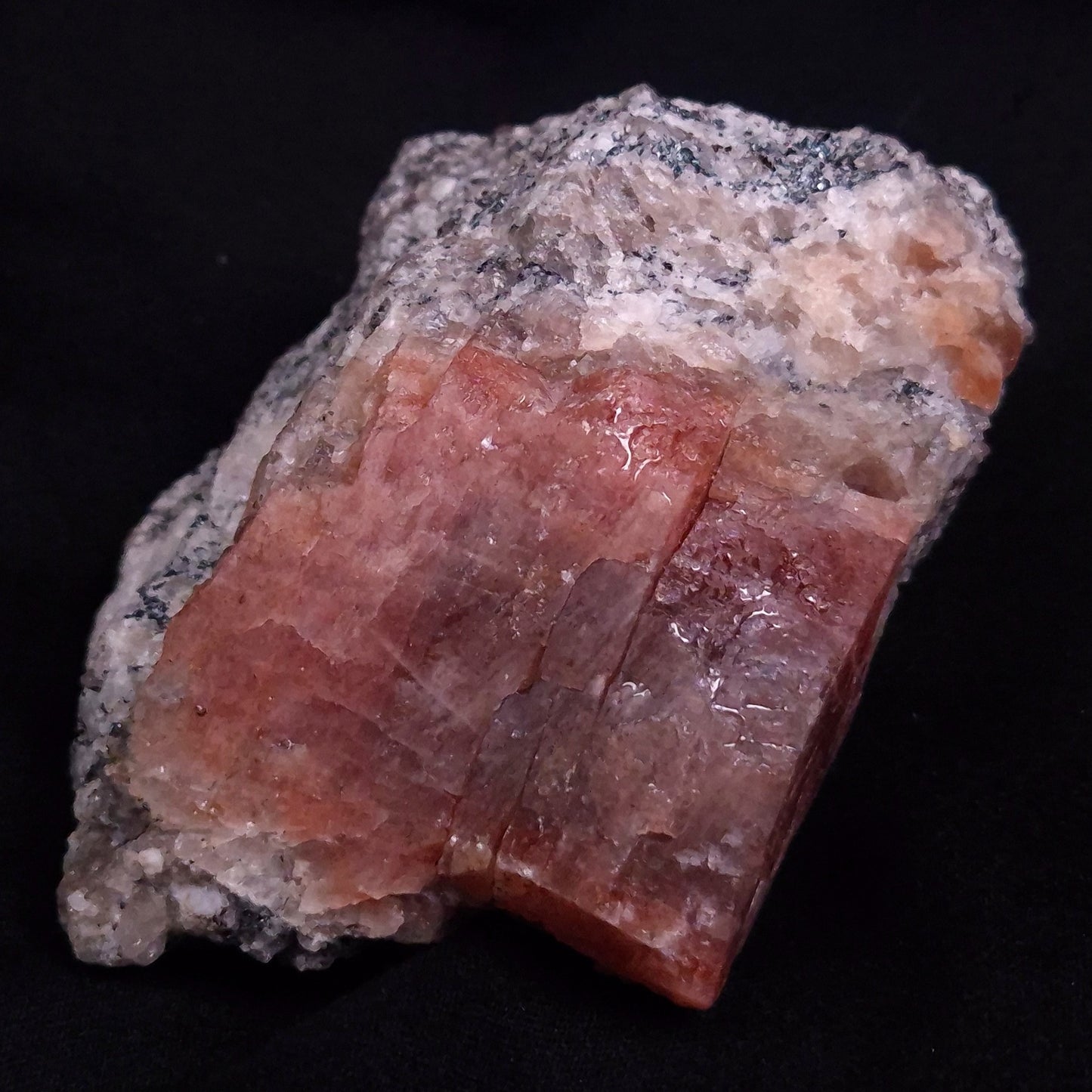 CONFETTI SUNSTONE, Australia XSU023