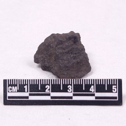 MANGANESE NODULE (POLYMETALLIC), Pacific Ocean XMN011