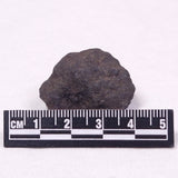 MANGANESE NODULE (POLYMETALLIC), Pacific Ocean XMN012