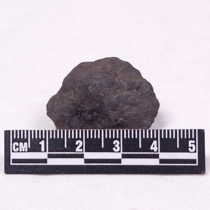 MANGANESE NODULE (POLYMETALLIC), Pacific Ocean XMN012