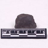 MANGANESE NODULE (POLYMETALLIC), Pacific Ocean XMN013