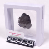 MANGANESE NODULE (POLYMETALLIC), Pacific Ocean XMN014