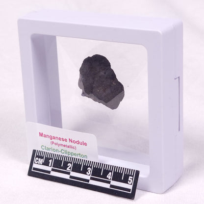 MANGANESE NODULE (POLYMETALLIC), Pacific Ocean XMN017