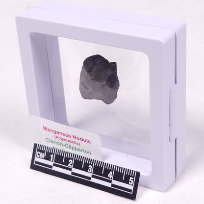 MANGANESE NODULE (POLYMETALLIC), Pacific Ocean XMN018