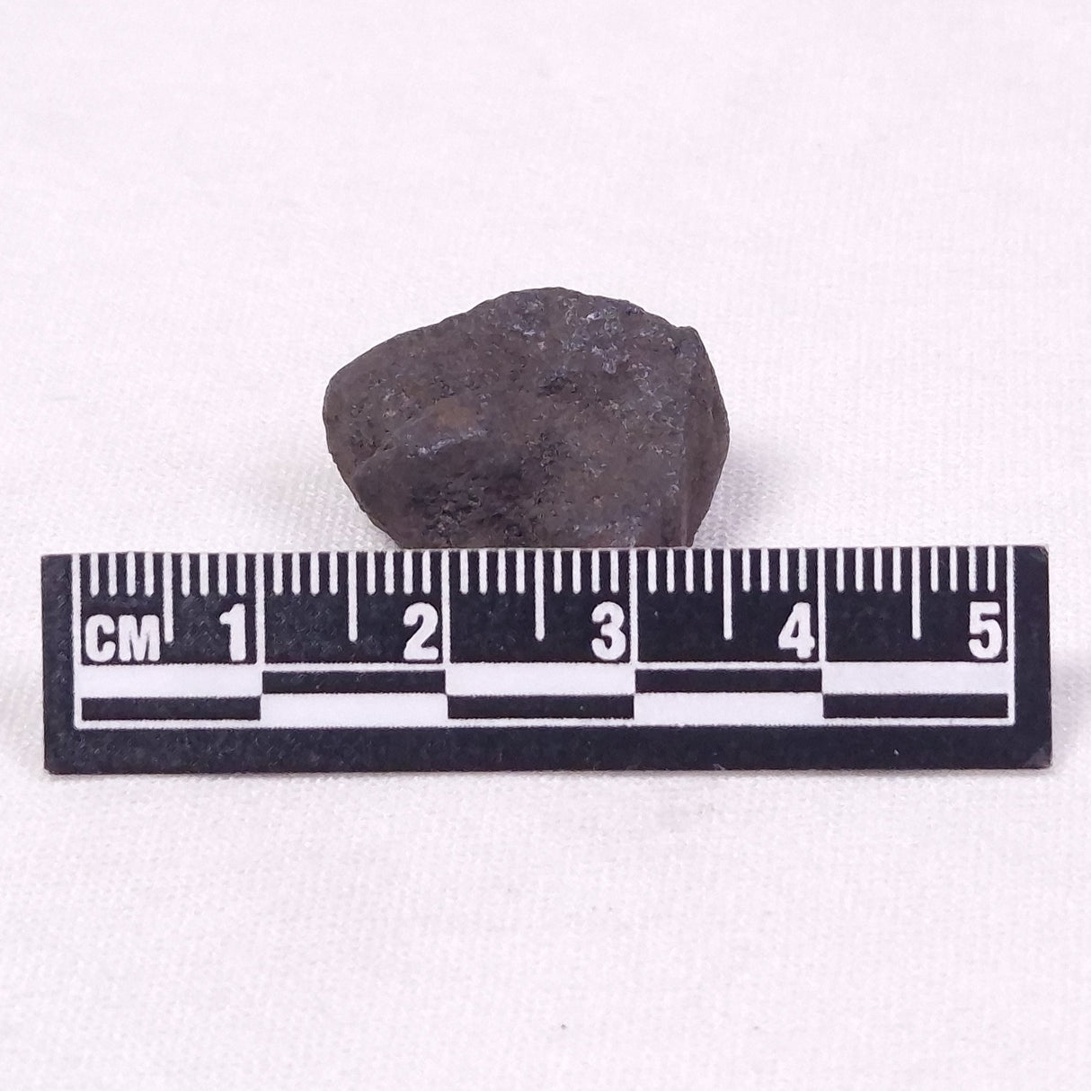 MANGANESE NODULE (POLYMETALLIC), Pacific Ocean XMN019