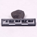 MANGANESE NODULE (POLYMETALLIC), Pacific Ocean XMN019
