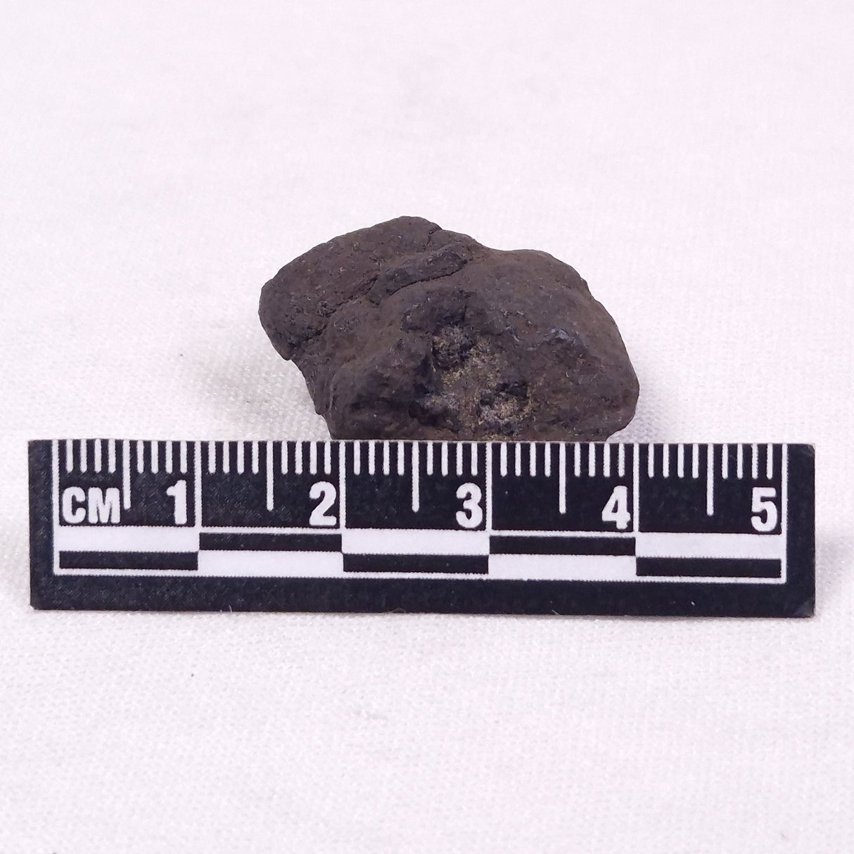 MANGANESE NODULE (POLYMETALLIC), Pacific Ocean XMN020