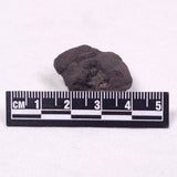 MANGANESE NODULE (POLYMETALLIC), Pacific Ocean XMN020