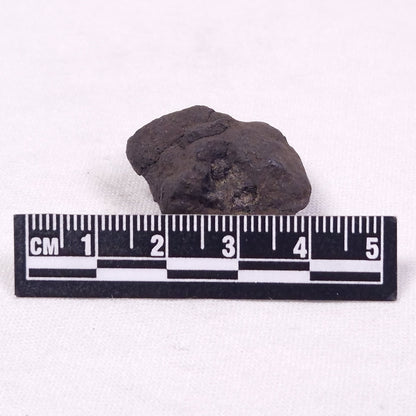 MANGANESE NODULE (POLYMETALLIC), Pacific Ocean XMN020