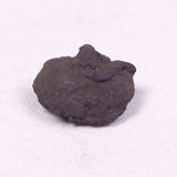 MANGANESE NODULE (POLYMETALLIC), Pacific Ocean XMN020