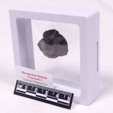 MANGANESE NODULE (POLYMETALLIC), Pacific Ocean XMN020