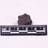 MANGANESE NODULE (POLYMETALLIC), Pacific Ocean XMN021
