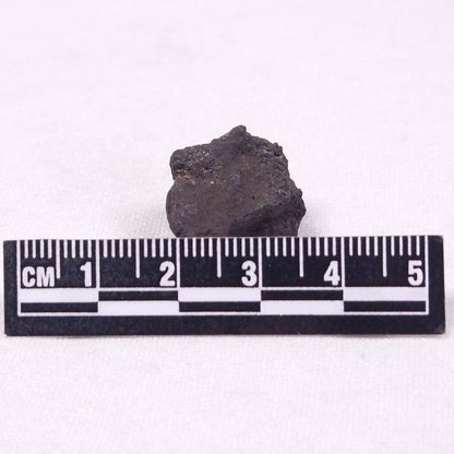 MANGANESE NODULE (POLYMETALLIC), Pacific Ocean XMN021