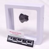 MANGANESE NODULE (POLYMETALLIC), Pacific Ocean XMN021