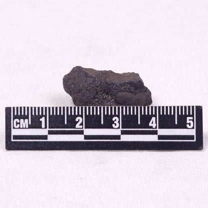 MANGANESE NODULE (POLYMETALLIC), Pacific Ocean XMN022