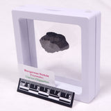 MANGANESE NODULE (POLYMETALLIC), Pacific Ocean XMN022