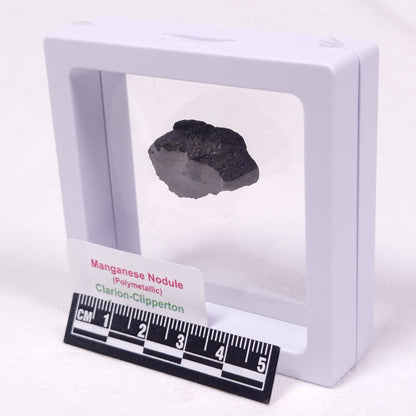 MANGANESE NODULE (POLYMETALLIC), Pacific Ocean XMN022