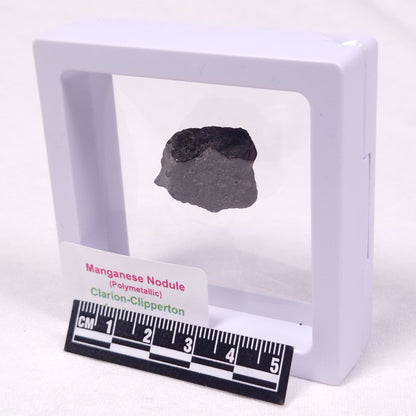 MANGANESE NODULE (POLYMETALLIC), Pacific Ocean XMN023