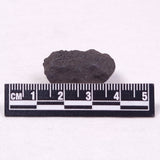 MANGANESE NODULE (POLYMETALLIC), Pacific Ocean XMN024