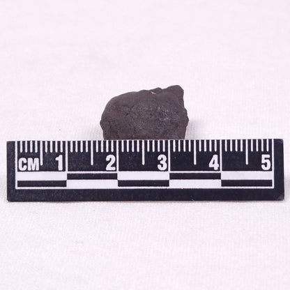 MANGANESE NODULE (POLYMETALLIC), Pacific Ocean XMN025