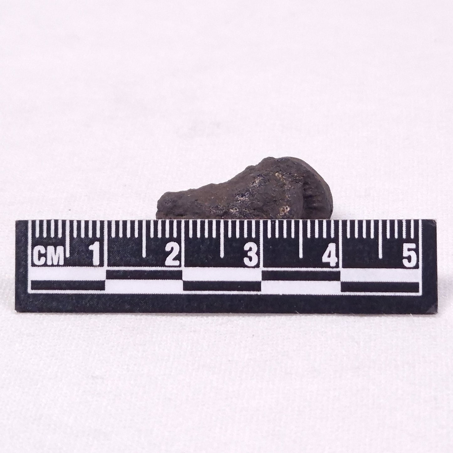MANGANESE NODULE (POLYMETALLIC), Pacific Ocean XMN026