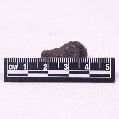 MANGANESE NODULE (POLYMETALLIC), Pacific Ocean XMN026