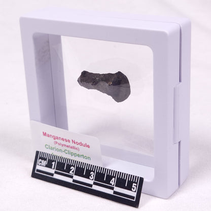 MANGANESE NODULE (POLYMETALLIC), Pacific Ocean XMN026