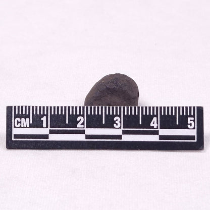 MANGANESE NODULE (POLYMETALLIC), Pacific Ocean XMN028