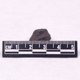 MANGANESE NODULE (POLYMETALLIC), Pacific Ocean XMN029