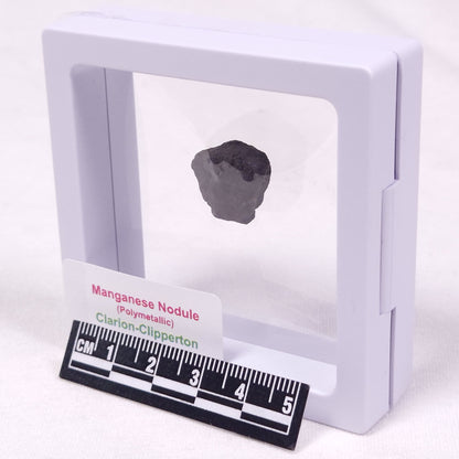 MANGANESE NODULE (POLYMETALLIC), Pacific Ocean XMN029