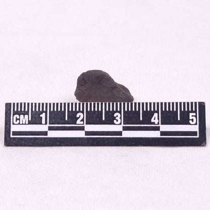 MANGANESE NODULE (POLYMETALLIC), Pacific Ocean XMN030