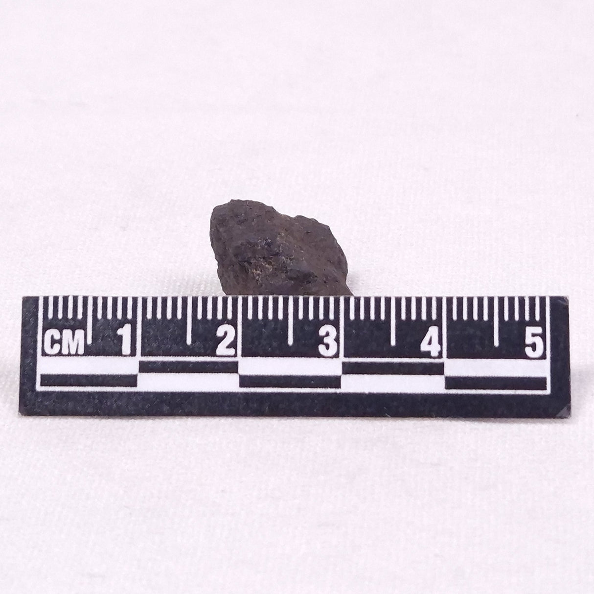 MANGANESE NODULE (POLYMETALLIC), Pacific Ocean XMN031