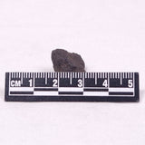 MANGANESE NODULE (POLYMETALLIC), Pacific Ocean XMN031