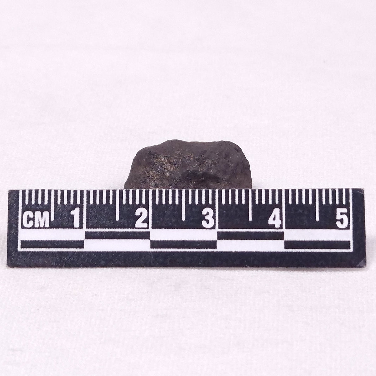 MANGANESE NODULE (POLYMETALLIC), Pacific Ocean XMN032