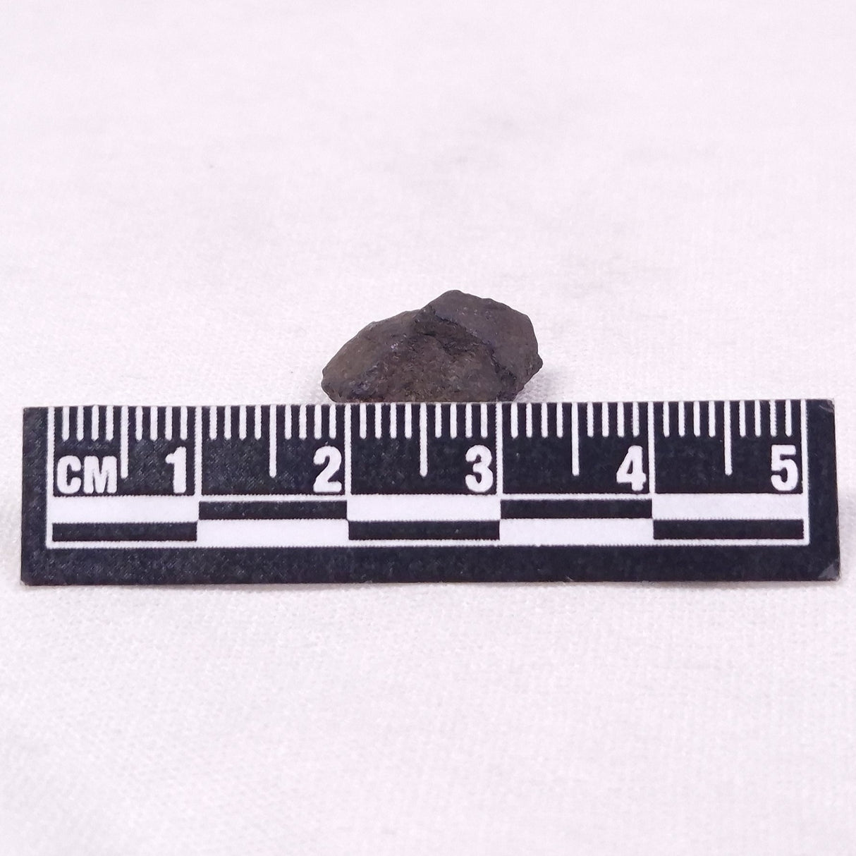 MANGANESE NODULE (POLYMETALLIC), Pacific Ocean XMN033