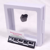 MANGANESE NODULE (POLYMETALLIC), Pacific Ocean XMN034