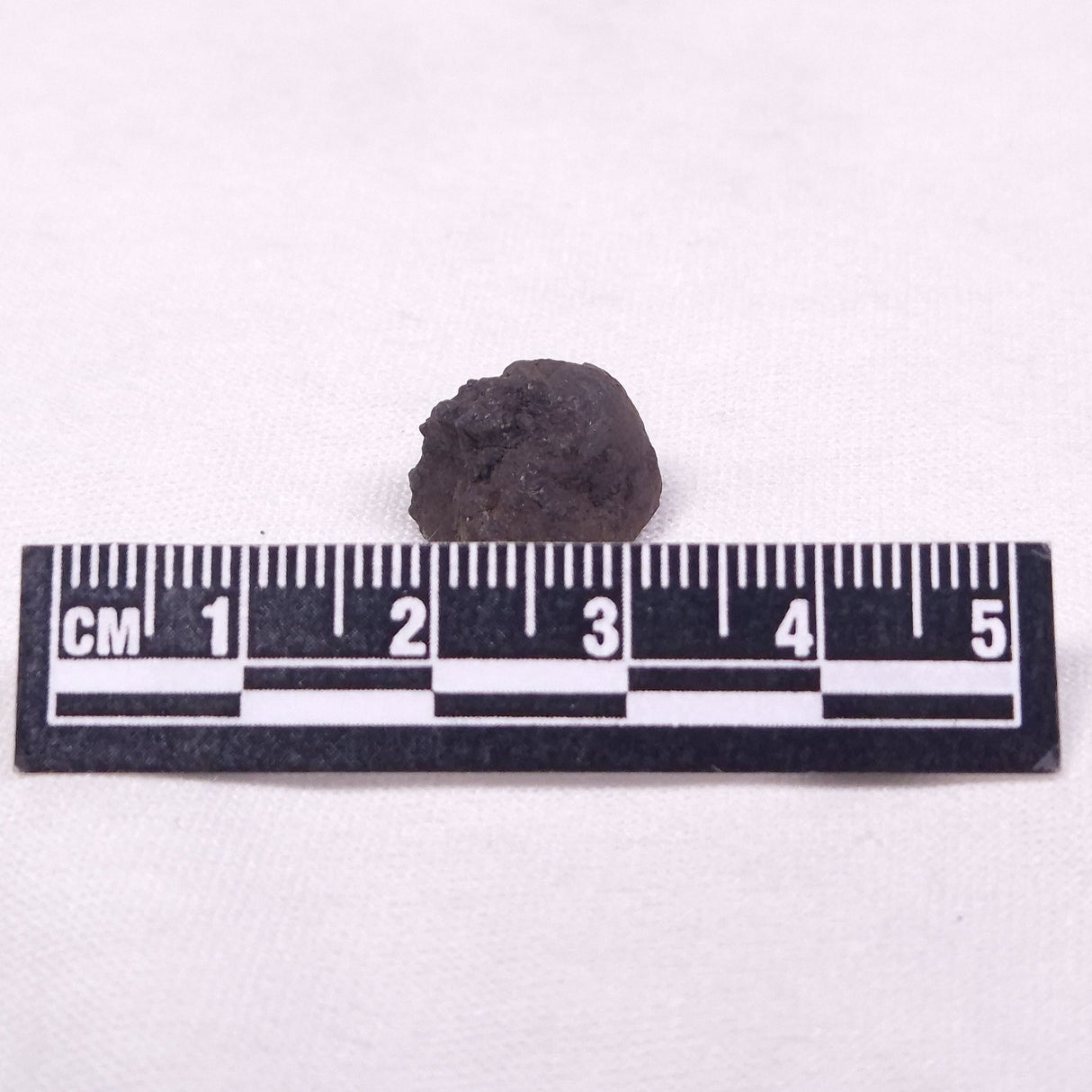 MANGANESE NODULE (POLYMETALLIC), Pacific Ocean XMN035