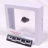 MANGANESE NODULE (POLYMETALLIC), Pacific Ocean XMN036