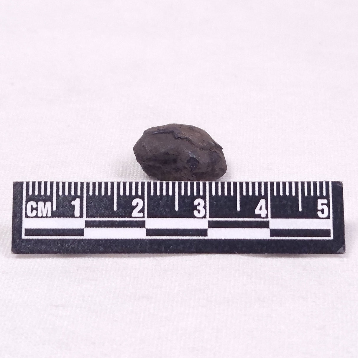 MANGANESE NODULE (POLYMETALLIC), Pacific Ocean XMN038