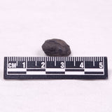 MANGANESE NODULE (POLYMETALLIC), Pacific Ocean XMN038