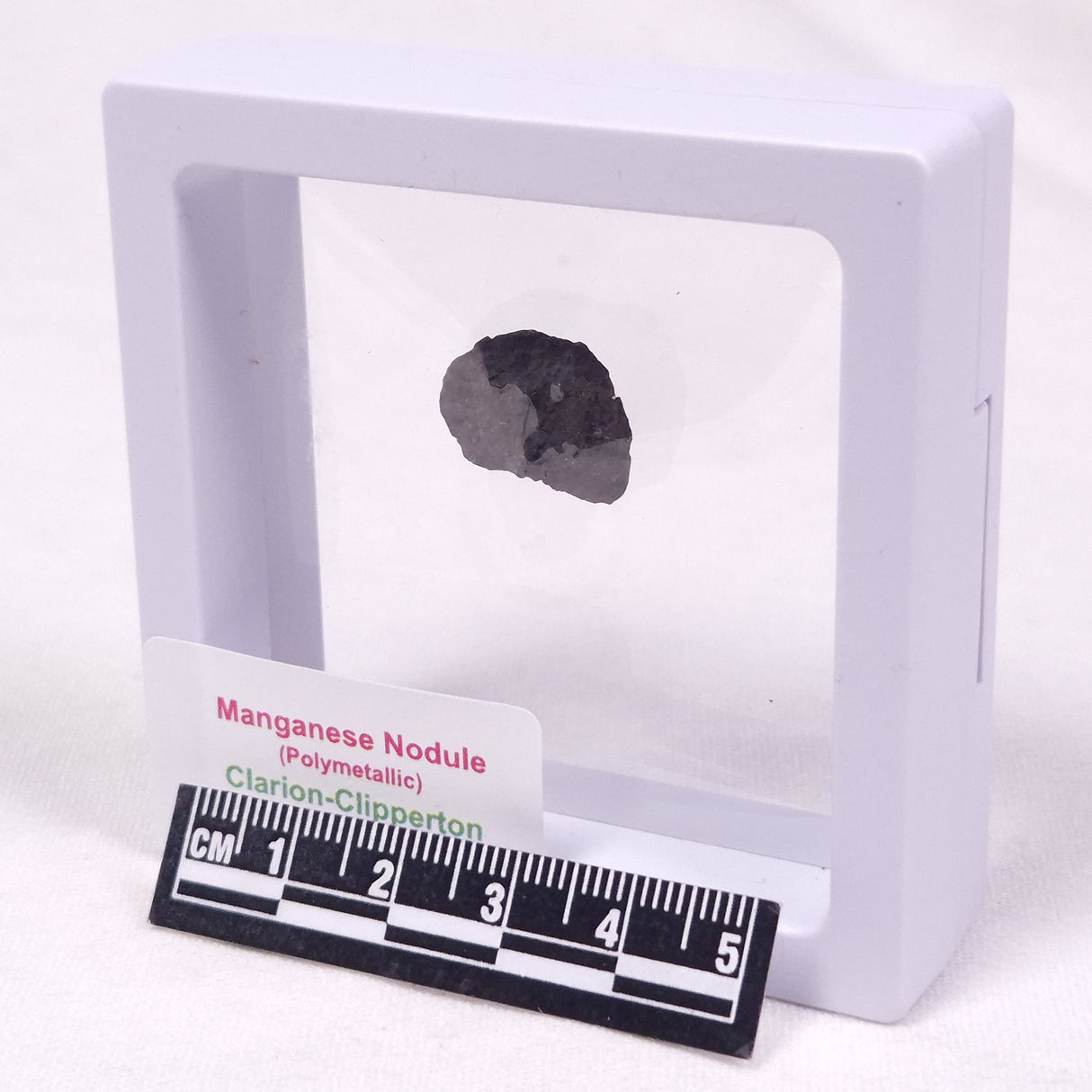 MANGANESE NODULE (POLYMETALLIC), Pacific Ocean XMN038