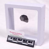 MANGANESE NODULE (POLYMETALLIC), Pacific Ocean XMN038