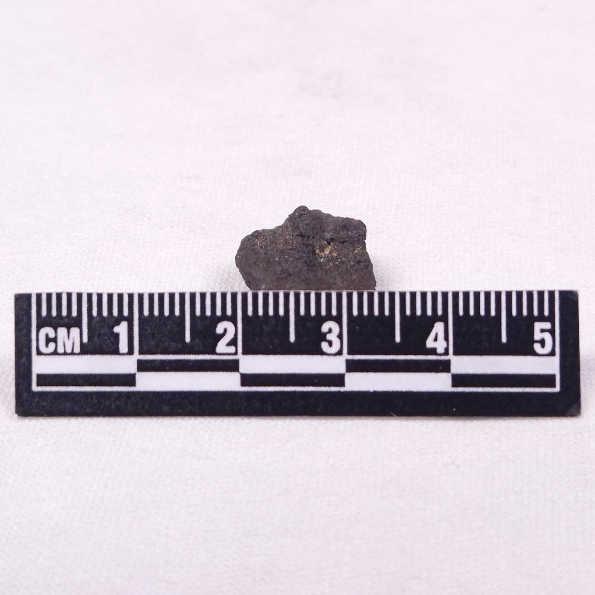 MANGANESE NODULE (POLYMETALLIC), Pacific Ocean XMN039