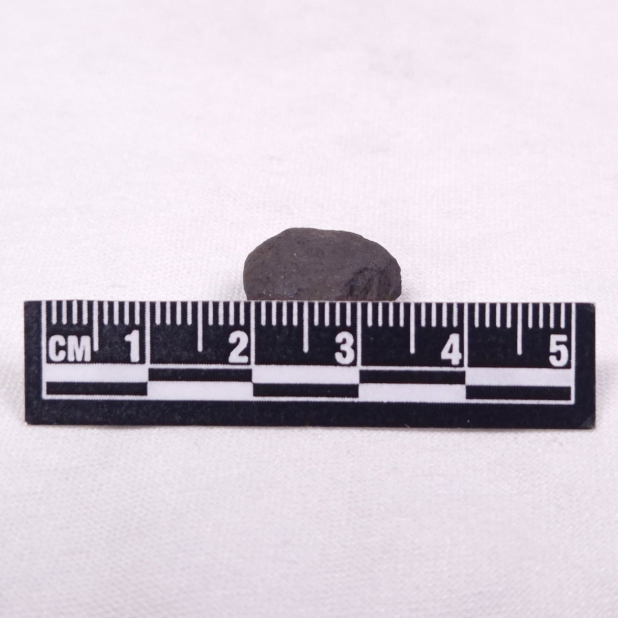 MANGANESE NODULE (POLYMETALLIC), Pacific Ocean XMN040