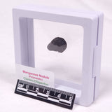 MANGANESE NODULE (POLYMETALLIC), Pacific Ocean XMN040