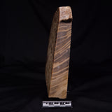 PETRIFIED WOOD, Australia YSC103