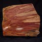 PETRIFIED WOOD, Australia YSC105