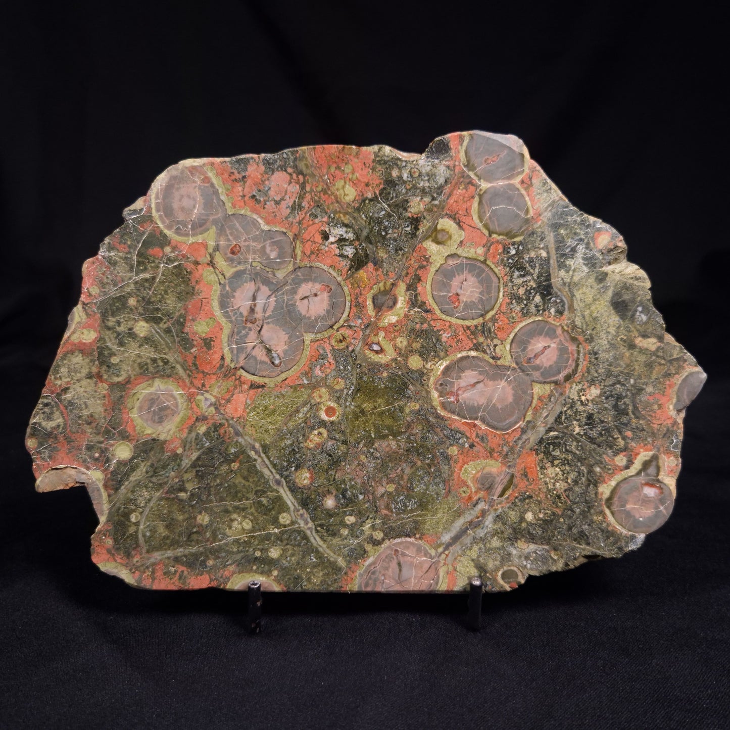 RHYOLITE (RAINFOREST JASPER), Australia YSC115